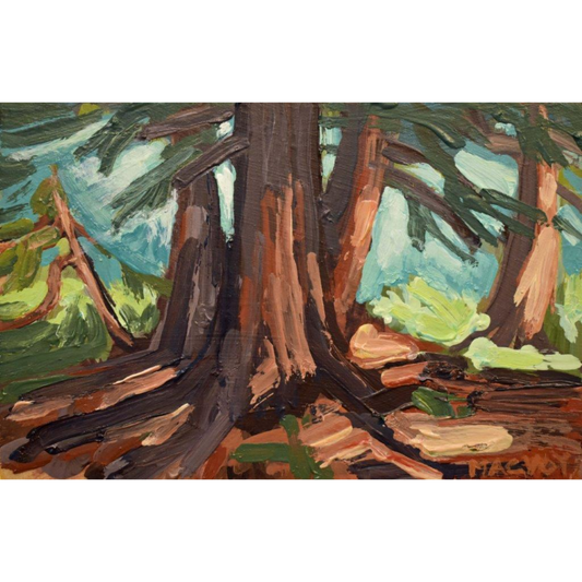 Cedar Grove