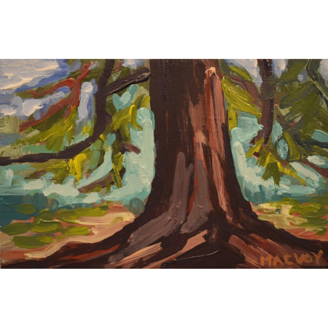Cedar Trunk