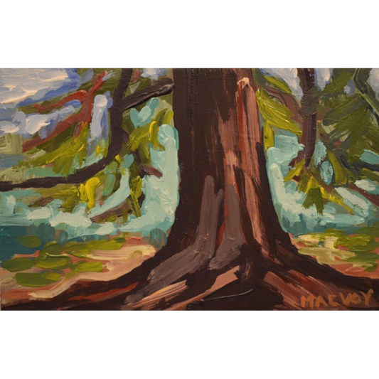 Cedar Trunk