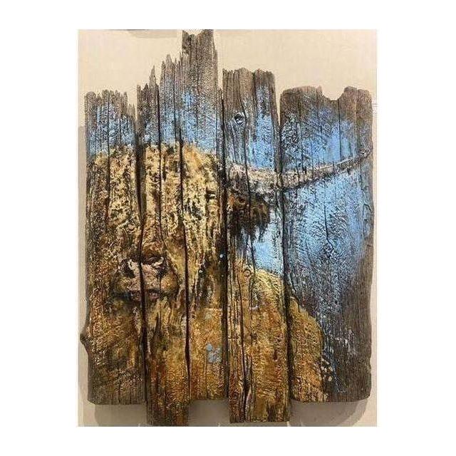 Coo on Barnwood