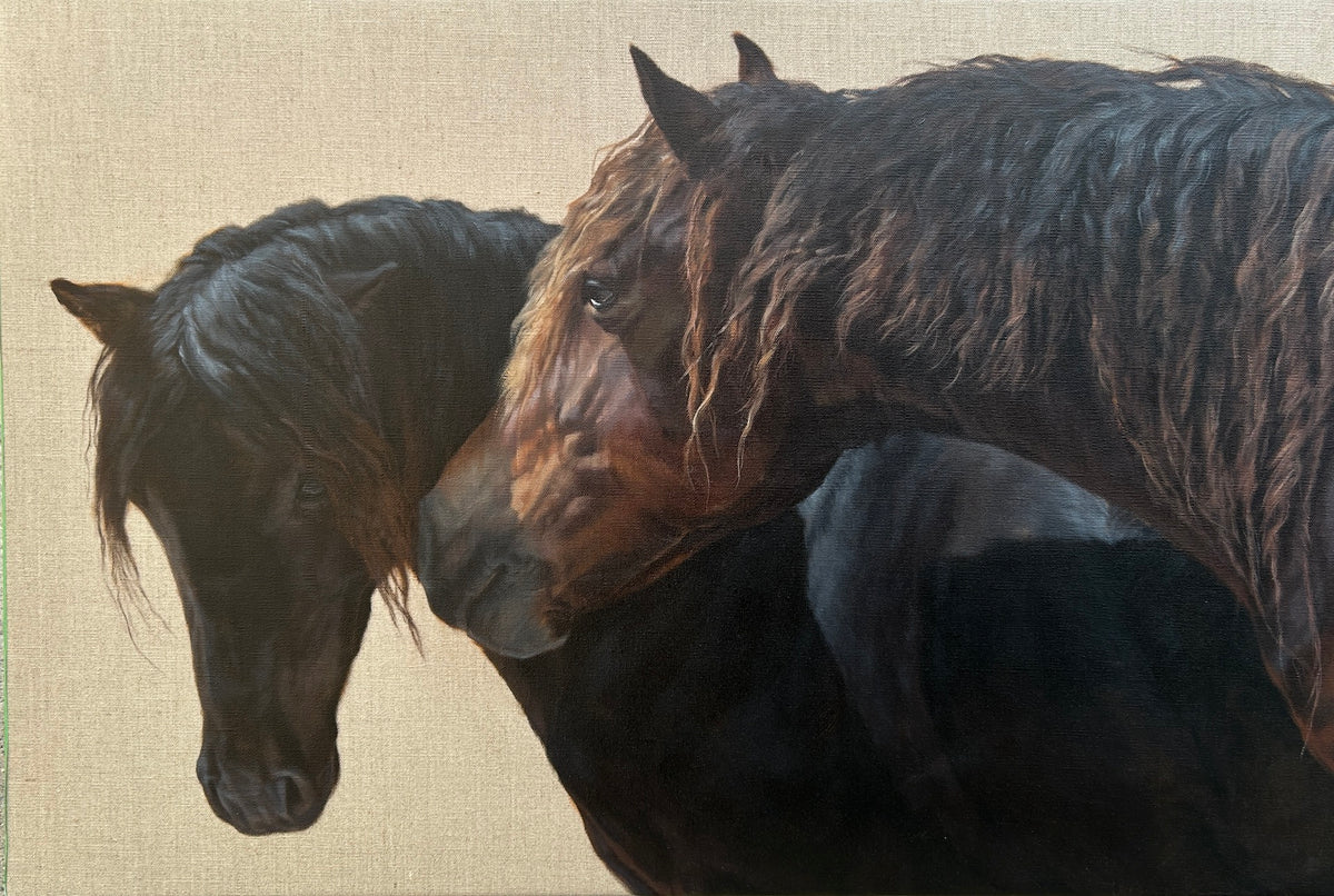 Sable Island Stallions