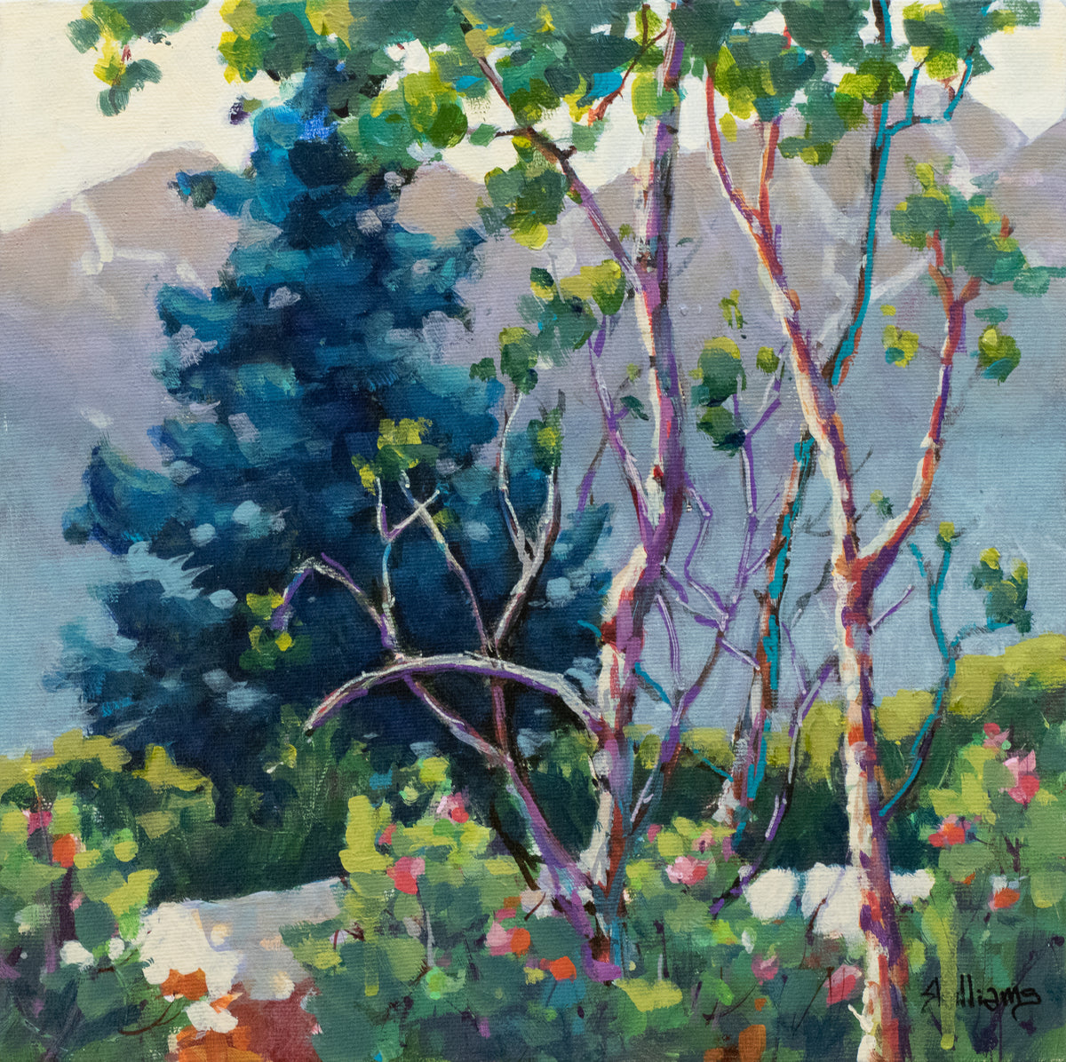 Aspen, Fir & Flowers