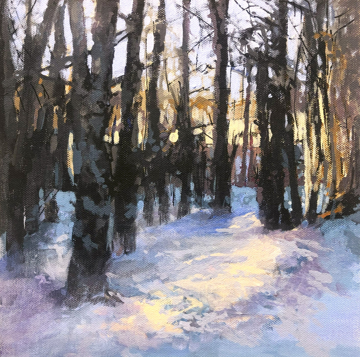 Winter Trees