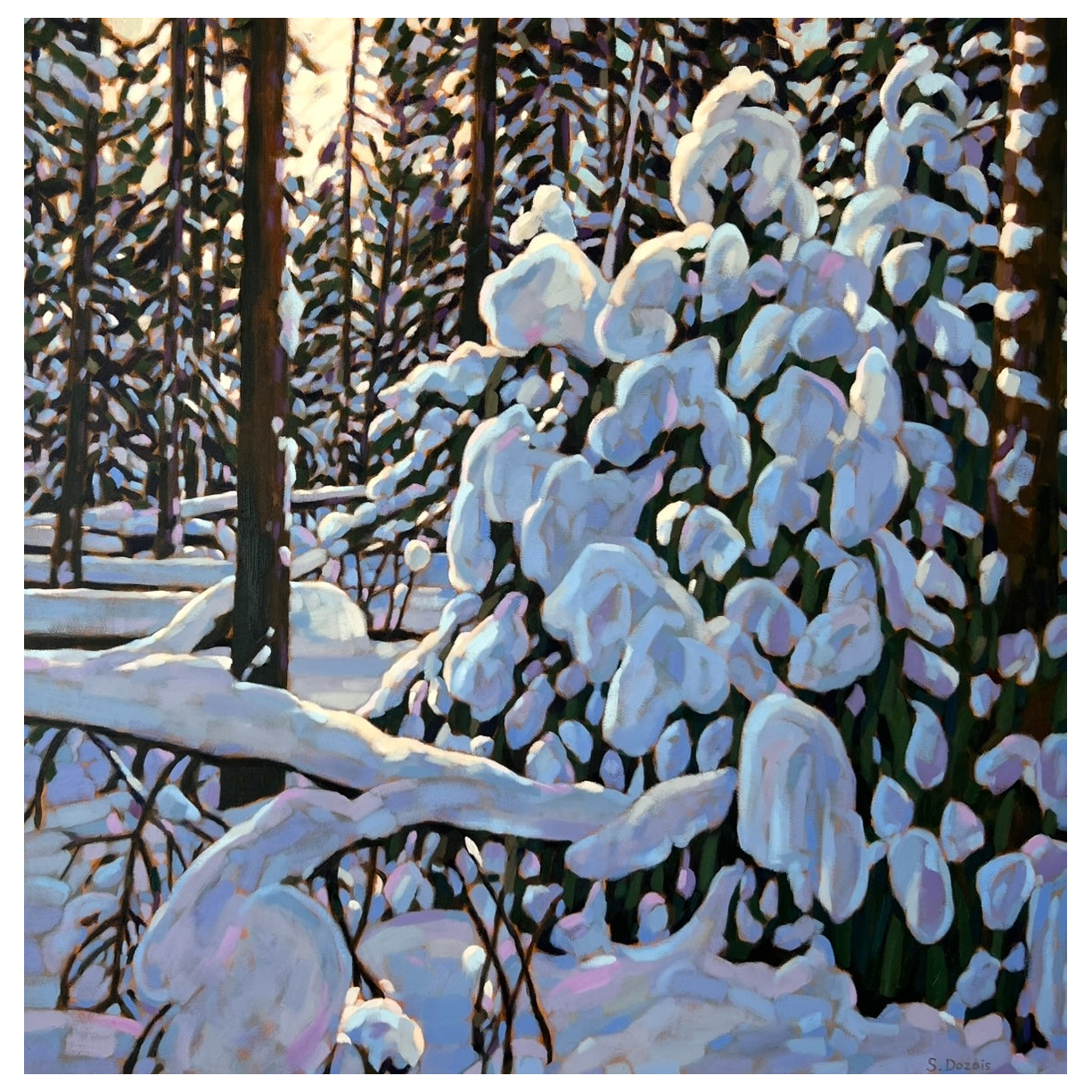 Snow Laden Sentinels