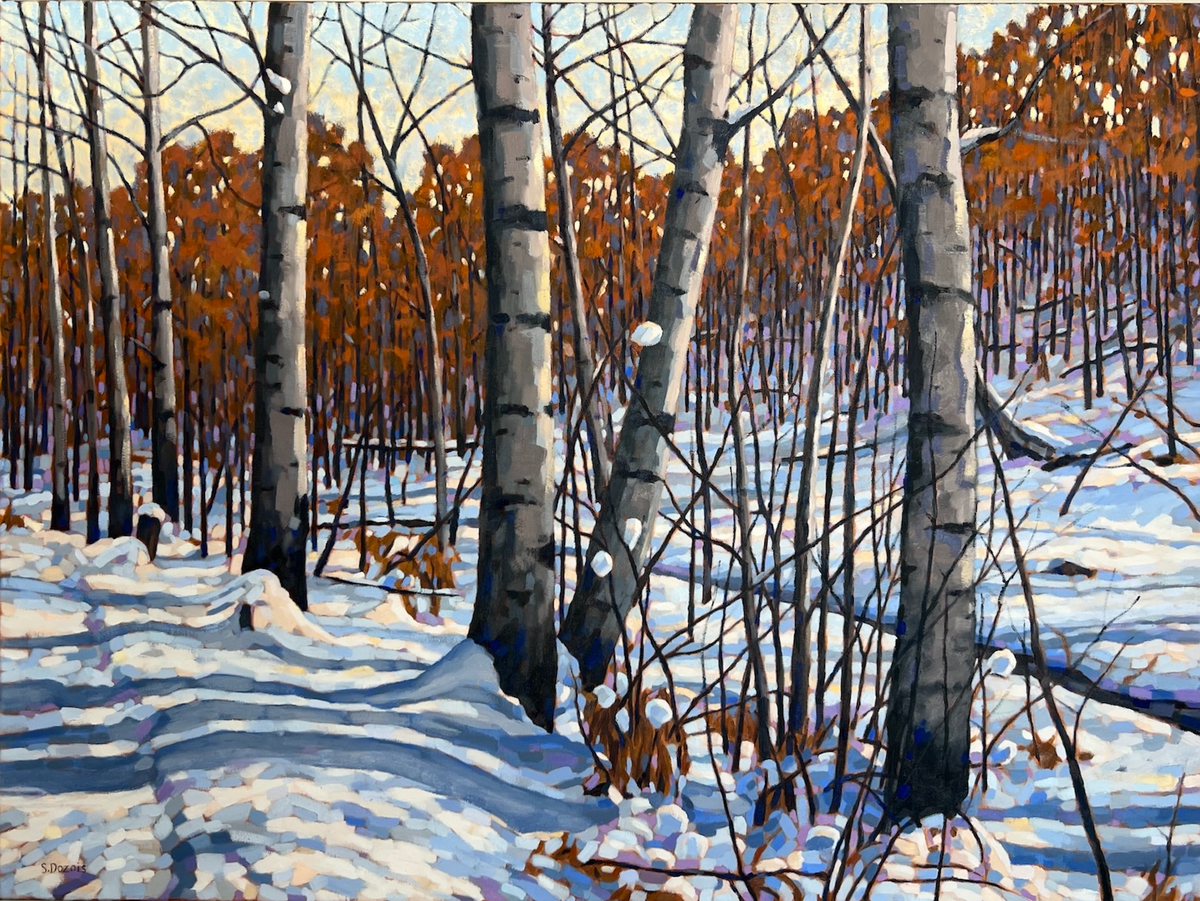 Quiet Shadows of Winter