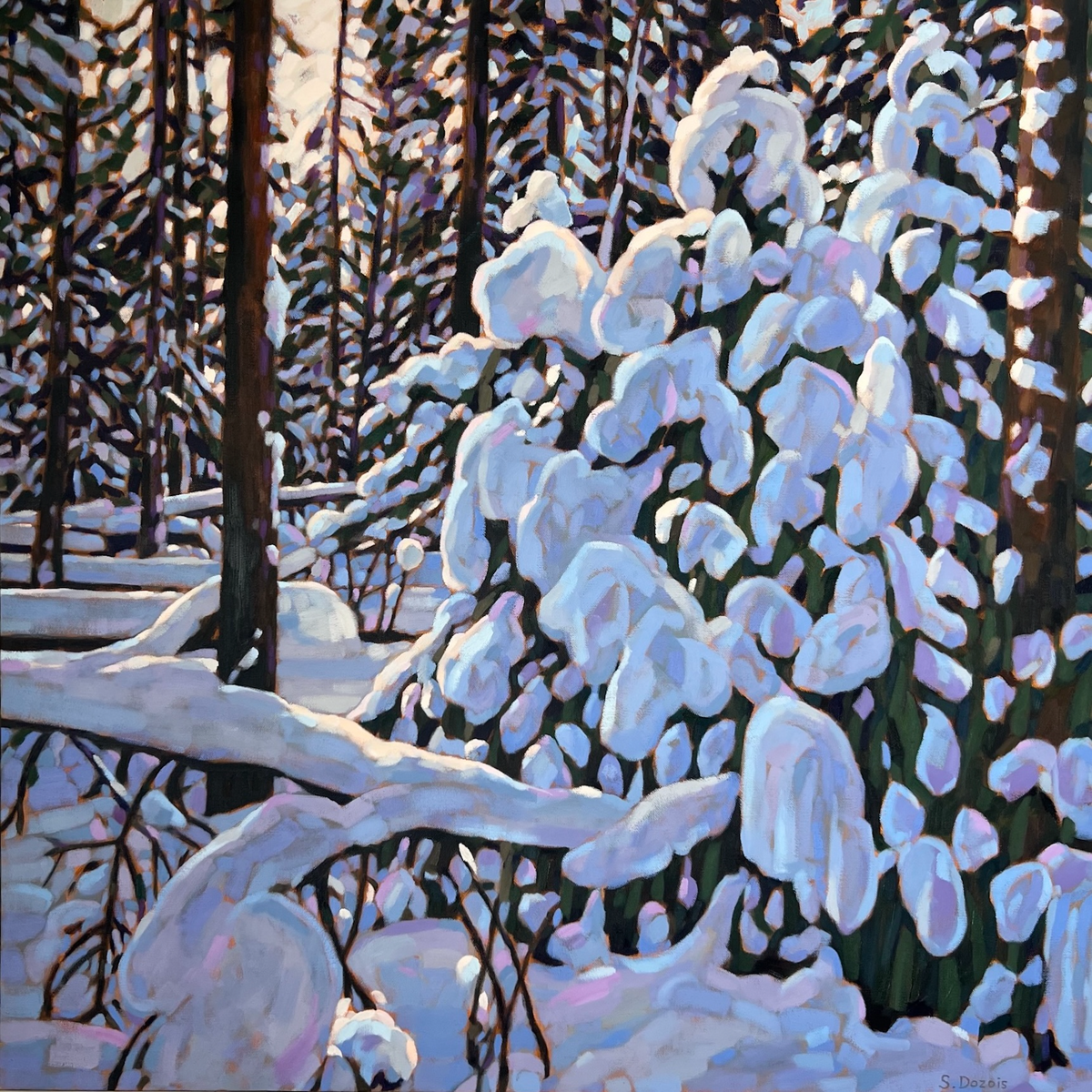Snow Laden Sentinels