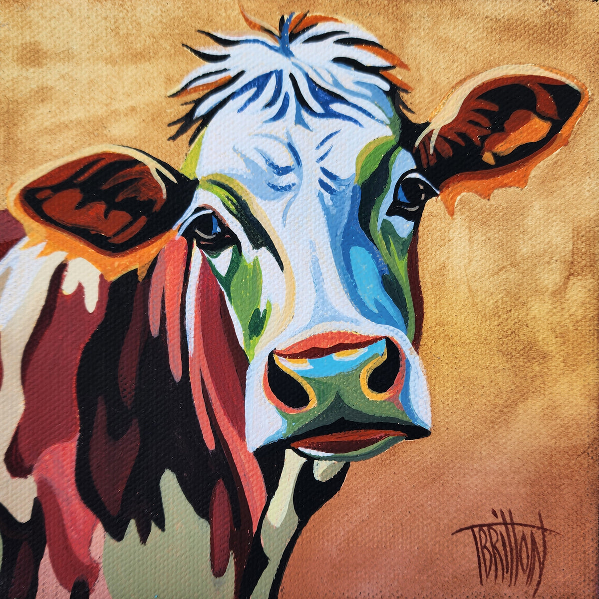 Brown Cow