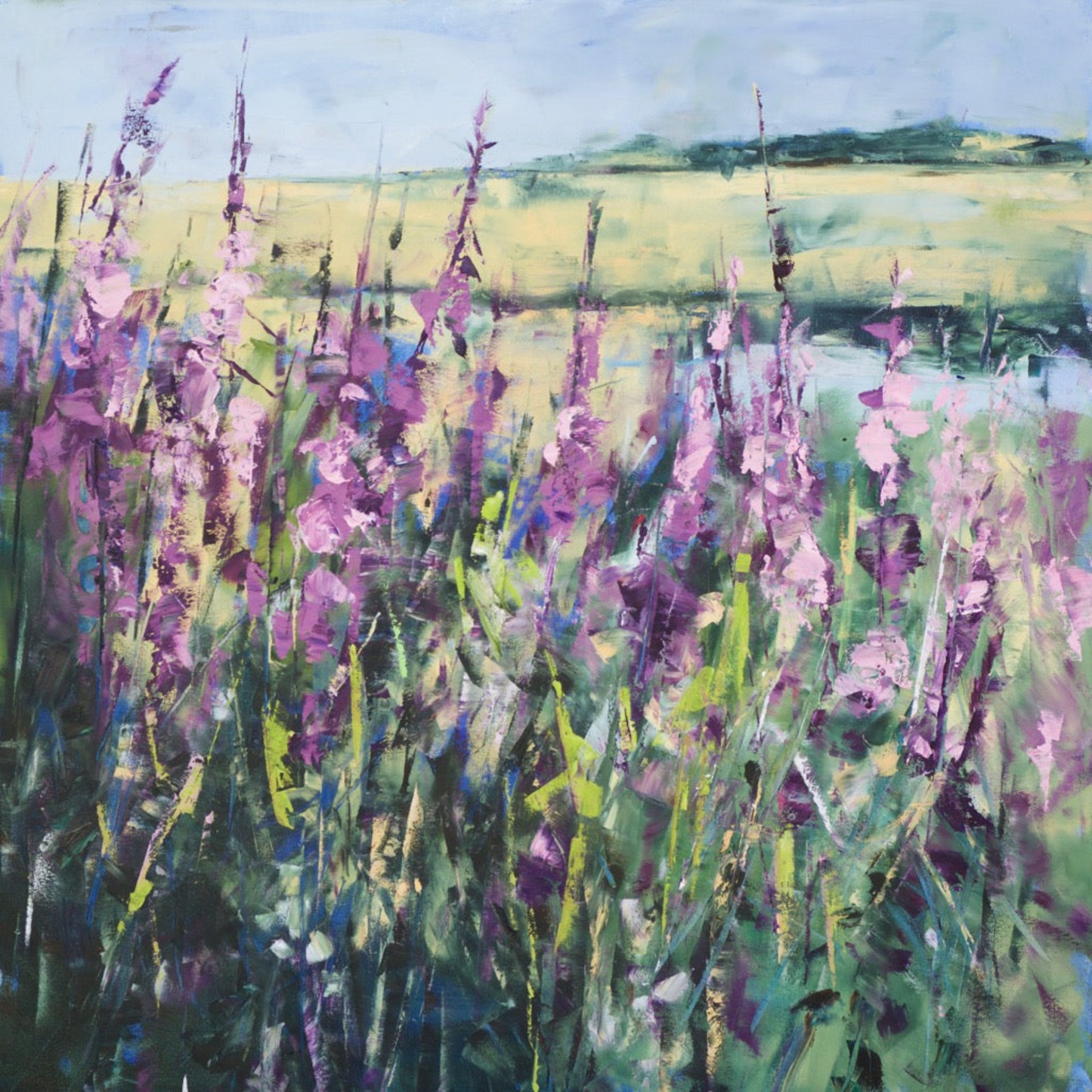Wildflowers Near Tresaith