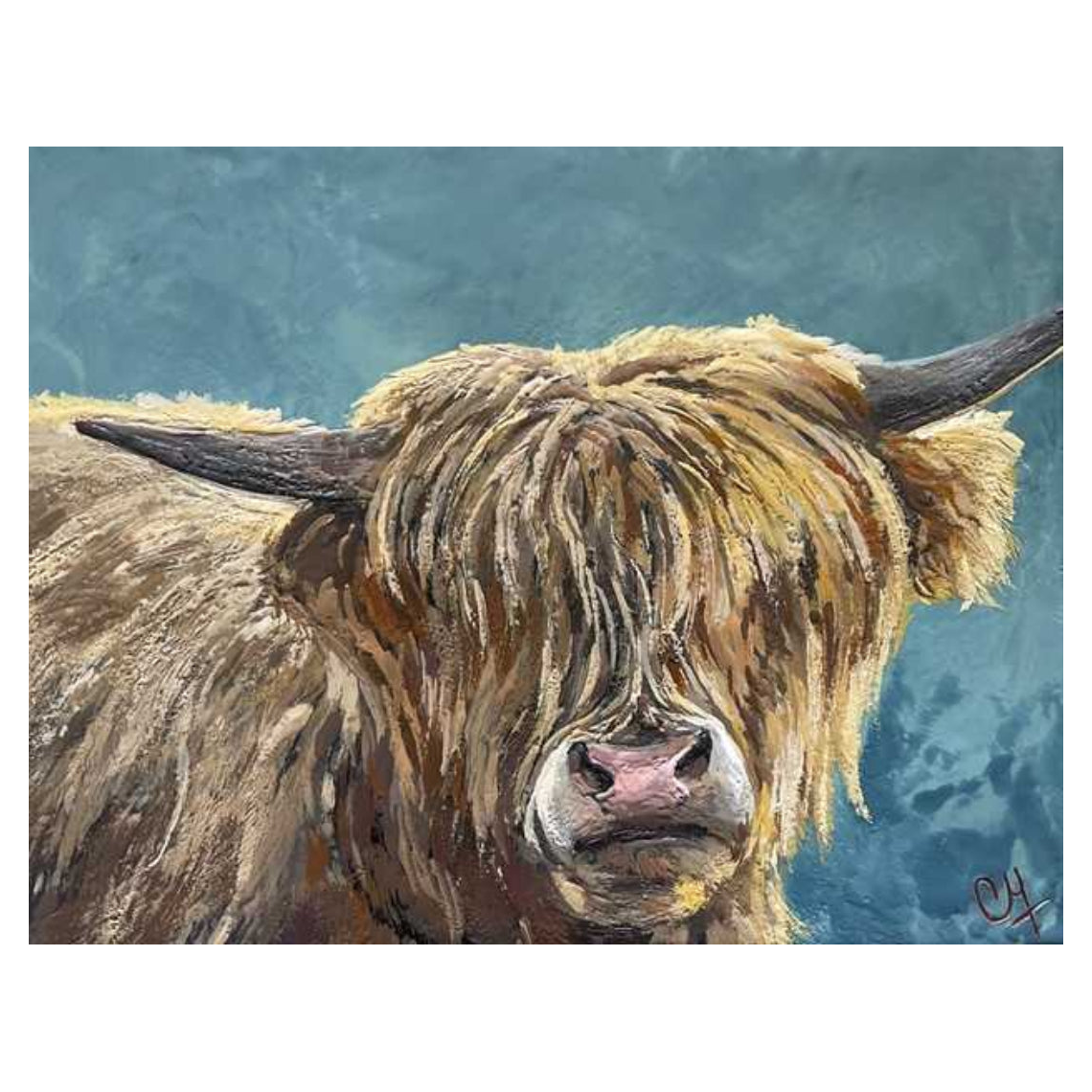 Wild Fringe