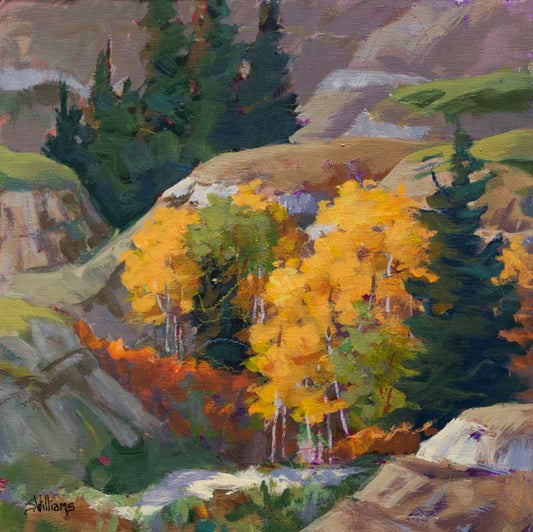 Canyon Splendor