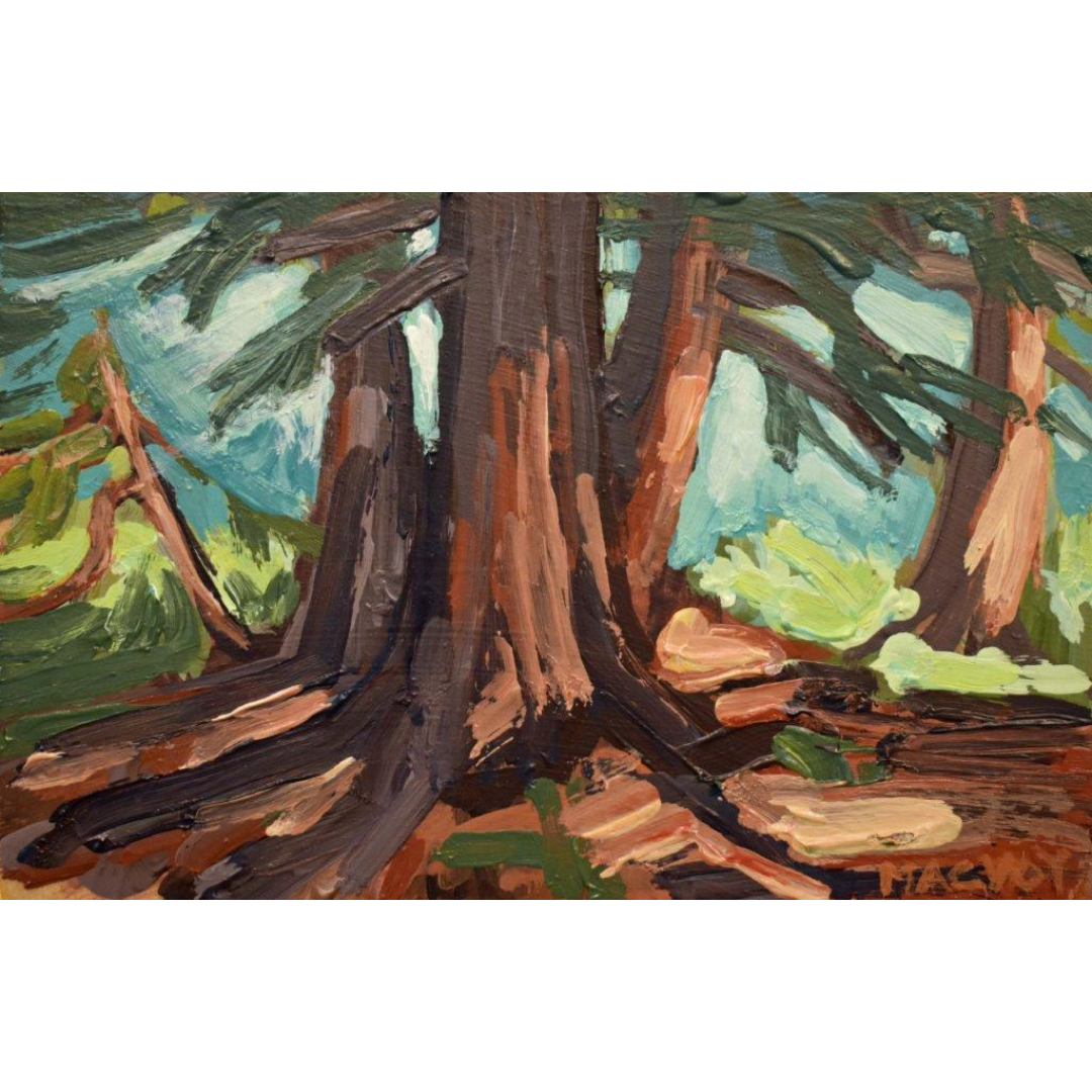 Cedar Grove