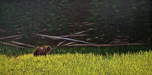 Beyond the Meadow