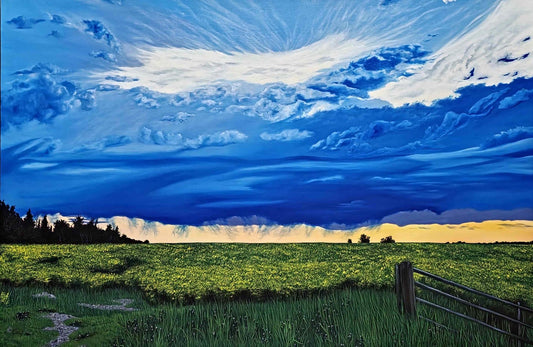 Canola Field At Dusk