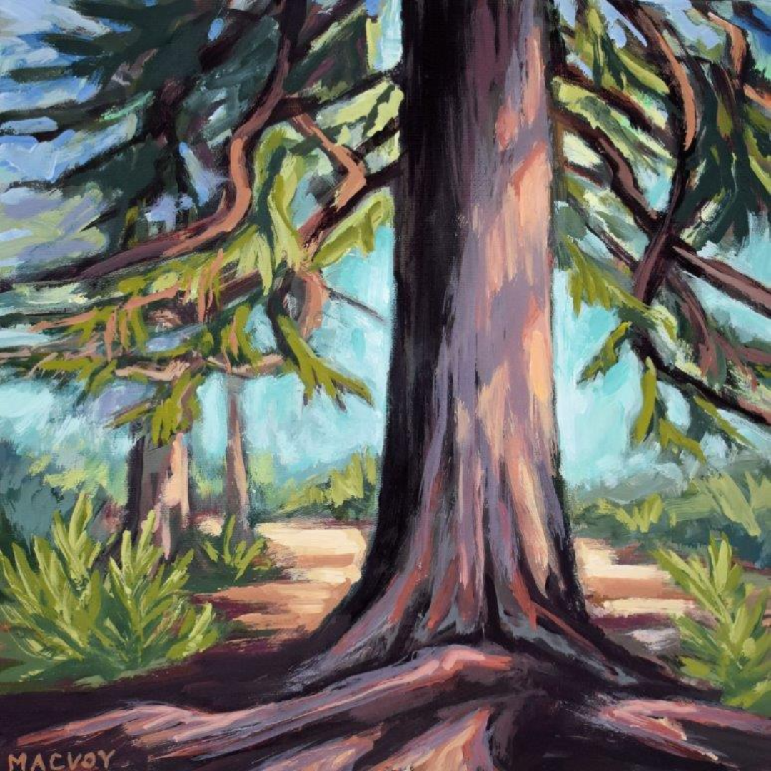 Root to Rise