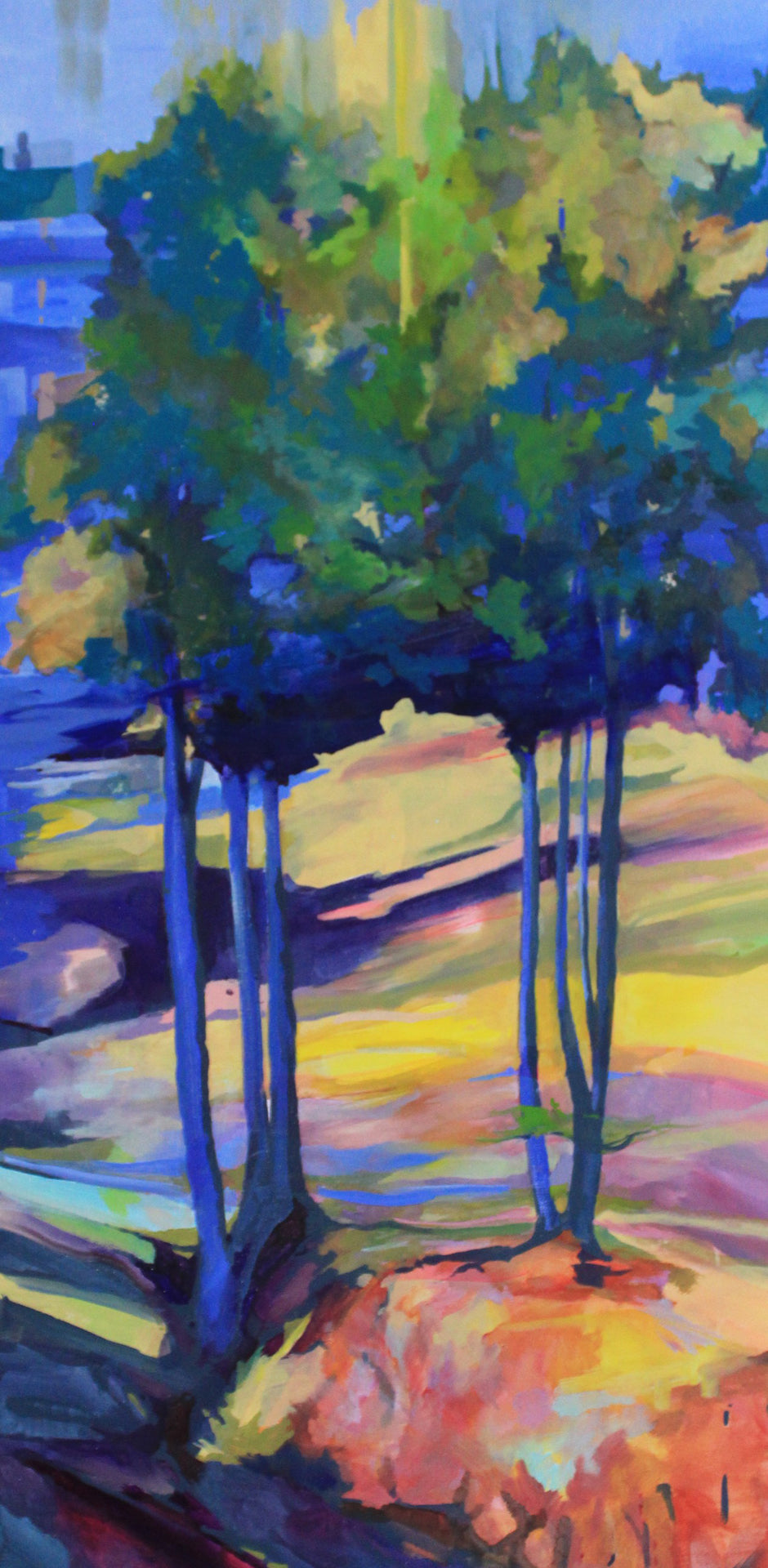 Trees in Sunlight