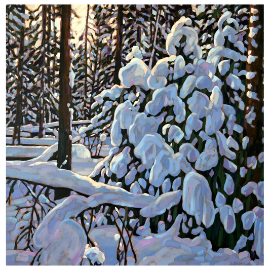Snow Laden Sentinels