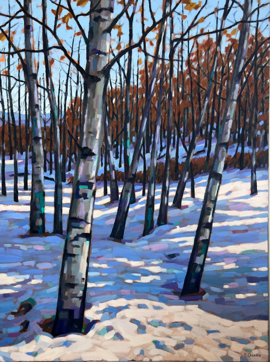Late Fall in the Aspen Stand