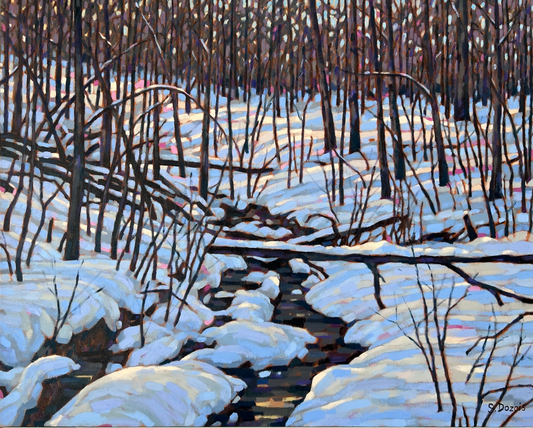 Paskapoo Stream