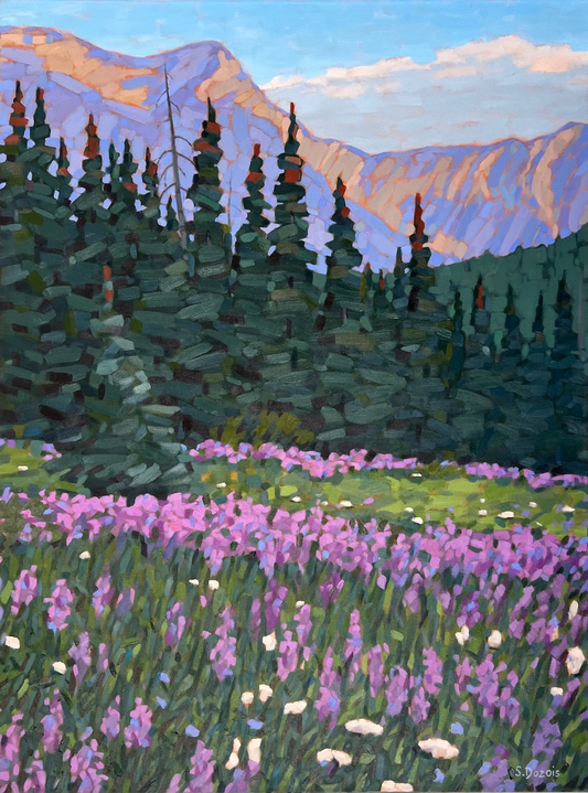 Rocky Mountain Meadow