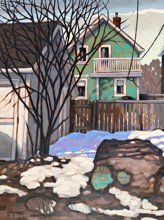 Snow Melt In The Back Lane