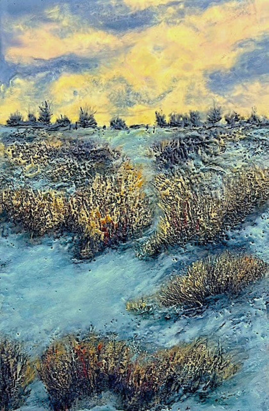 Winter Sky
